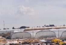 הפסולת החקלאית – מכת מדינה ואיום לאומי על ביטחון המזון הפסולת מביאה מגפות